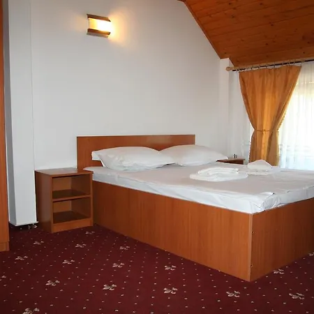 Casa Olteneasca Râmnicu Vâlcea